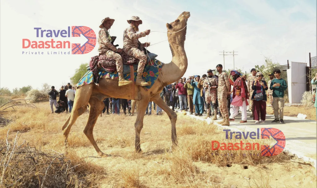 Camel Patrolling at Thar Desert Train Safari